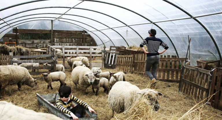 Foire d’alimentation alternative et projection d’une “Jeune bergère” le 15 août à Montréal