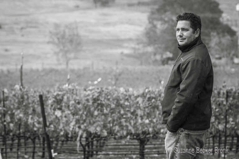Vino, Vidi, Vici, épisode 5: Julien Fayard, le king du rosé dans la Napa Valley