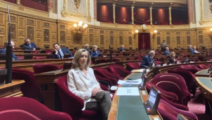 Soutien aux Français de l’étranger : “il y a urgence”, estime Hélène Conway-Mouret