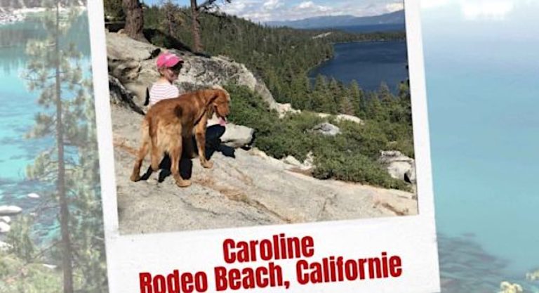French Expat le Podcast : Carte postale sonore de Brooklyn, NY avec Charlotte