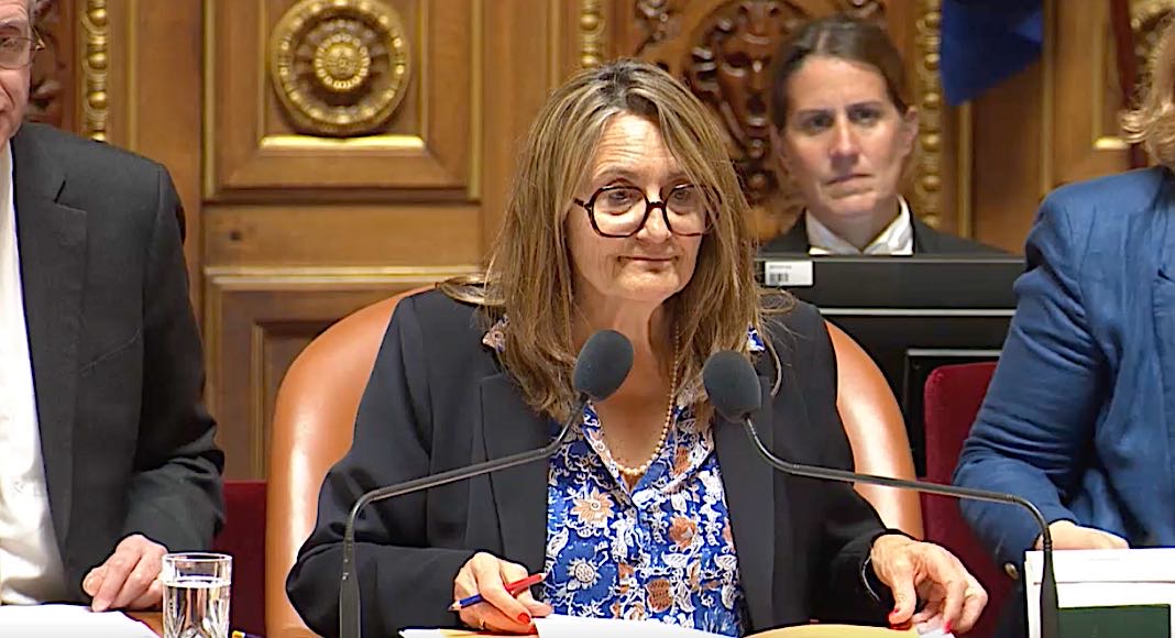 Sophie Primas, nouvelle ministre des Français de l’étranger