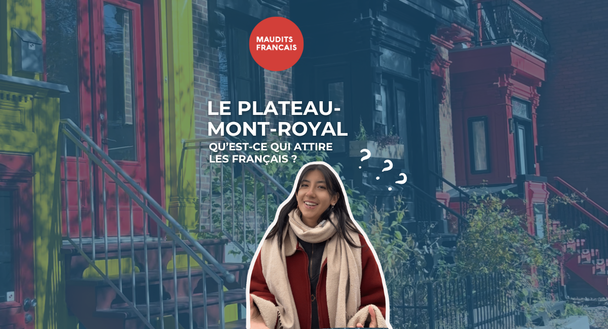 Pourquoi les Français choisissent-ils le Plateau Mont-Royal pour s’y installer ?